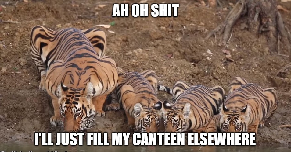 I'll move on | AH OH SHIT; I'LL JUST FILL MY CANTEEN ELSEWHERE | image tagged in canteen,cats,memes,fun,funny | made w/ Imgflip meme maker