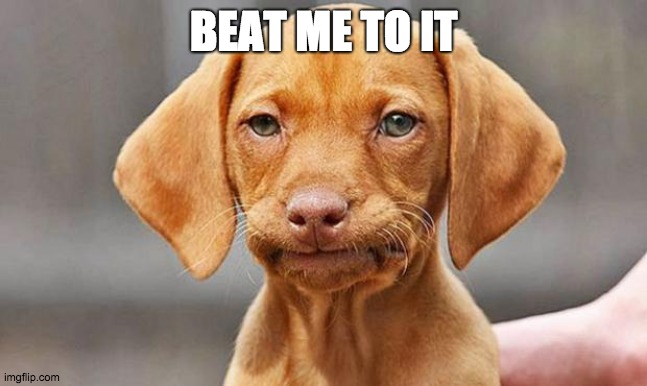 DANGIT DOG | BEAT ME TO IT | image tagged in dangit dog | made w/ Imgflip meme maker