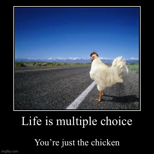 Life is multiple choice | You’re just the chicken | image tagged in funny,demotivationals | made w/ Imgflip demotivational maker