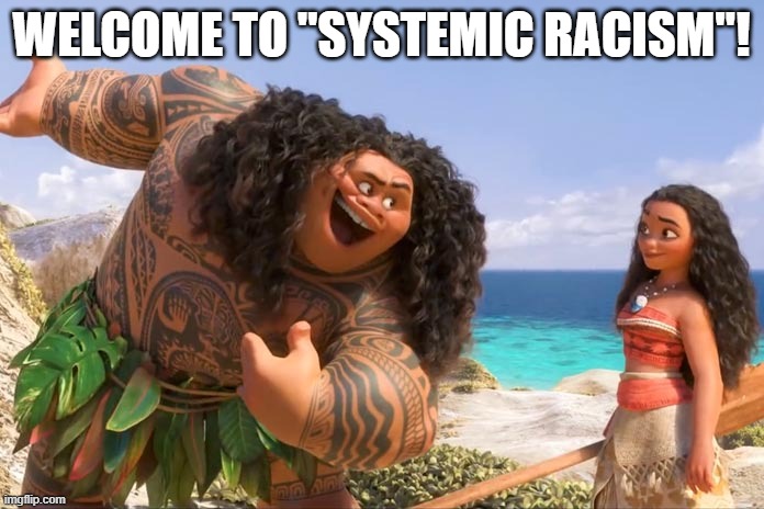 Moana Maui You're Welcome | WELCOME TO "SYSTEMIC RACISM"! | image tagged in moana maui you're welcome | made w/ Imgflip meme maker