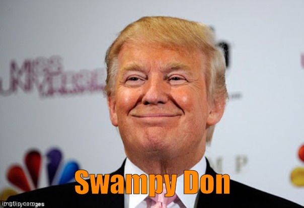 Donald "Swampy" Trump | Swampy Don | image tagged in donald trump approves | made w/ Imgflip meme maker