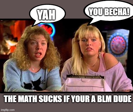 YAH YOU BECHA! THE MATH SUCKS IF YOUR A BLM DUDE | made w/ Imgflip meme maker