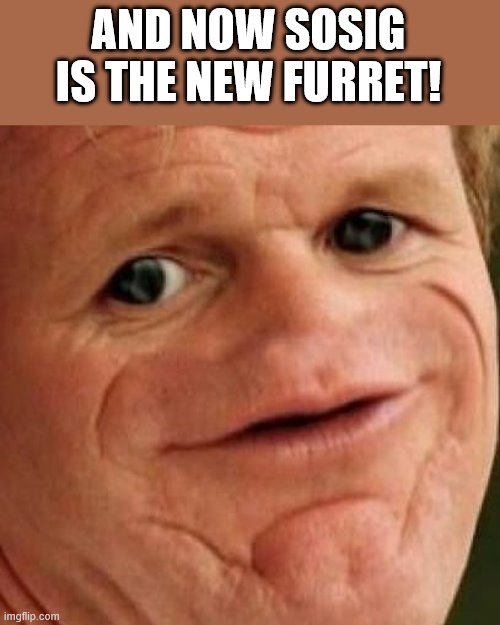 SOSIG | AND NOW SOSIG IS THE NEW FURRET! | image tagged in sosig | made w/ Imgflip meme maker
