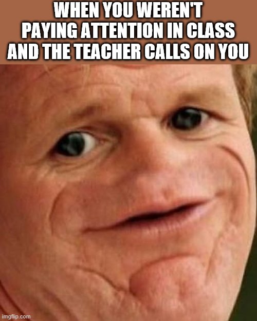 SOSIG | WHEN YOU WEREN'T PAYING ATTENTION IN CLASS AND THE TEACHER CALLS ON YOU | image tagged in sosig | made w/ Imgflip meme maker
