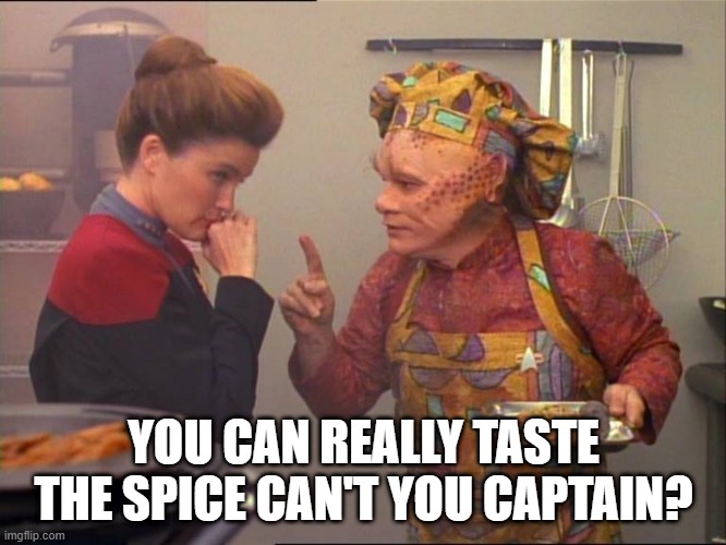 Oh She's Gonna Choke | YOU CAN REALLY TASTE THE SPICE CAN'T YOU CAPTAIN? | image tagged in neelix star trek | made w/ Imgflip meme maker