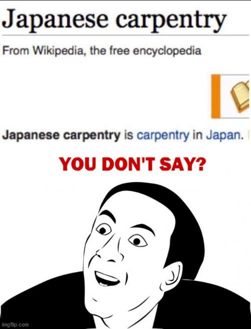 Good explanation, thanks Wikipedia. | image tagged in memes,you don't say | made w/ Imgflip meme maker