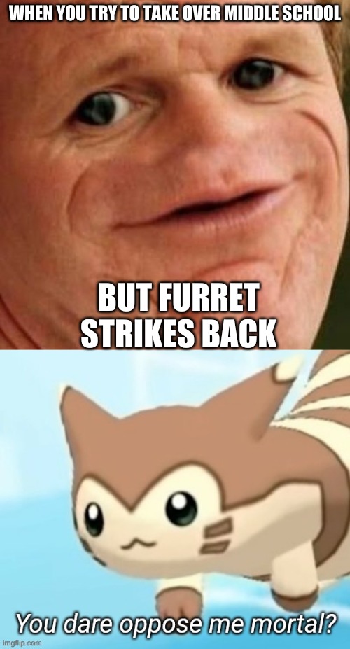 Furret could be the cure to the disease | WHEN YOU TRY TO TAKE OVER MIDDLE SCHOOL; BUT FURRET STRIKES BACK | image tagged in sosig,furret you dare oppose me mortal | made w/ Imgflip meme maker