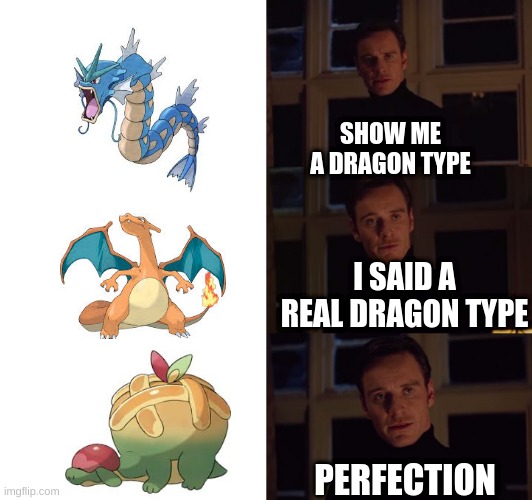 Dragon type | SHOW ME A DRAGON TYPE; I SAID A REAL DRAGON TYPE; PERFECTION | image tagged in perfection,pokemon | made w/ Imgflip meme maker