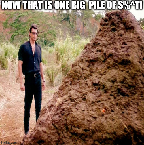 NOW THAT IS ONE BIG  PILE OF S%^T! | made w/ Imgflip meme maker