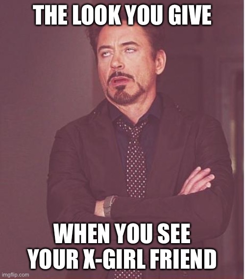 X-girlfriend | THE LOOK YOU GIVE; WHEN YOU SEE YOUR X-GIRL FRIEND | image tagged in memes,face you make robert downey jr | made w/ Imgflip meme maker