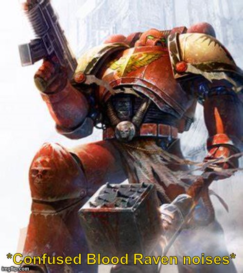 Space Marine | *Confused Blood Raven noises* | image tagged in space marine | made w/ Imgflip meme maker