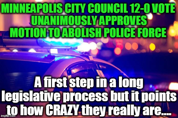 Beyond Radical, Straight to Full-Blown CRAZY!!! | MINNEAPOLIS CITY COUNCIL 12-0 VOTE 
UNANIMOUSLY APPROVES MOTION TO ABOLISH POLICE FORCE; A first step in a long legislative process but it points to how CRAZY they really are.... | image tagged in politics,political meme,liberalism is a mental disorder,socialists,democratic socialism,insanity | made w/ Imgflip meme maker