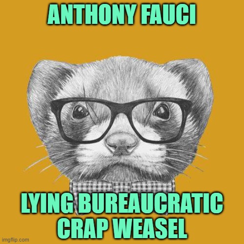 COVID numbers would make Bernie Madoff blush in shame | ANTHONY FAUCI; LYING BUREAUCRATIC CRAP WEASEL | image tagged in hipster weasel,covid-19,hoax | made w/ Imgflip meme maker