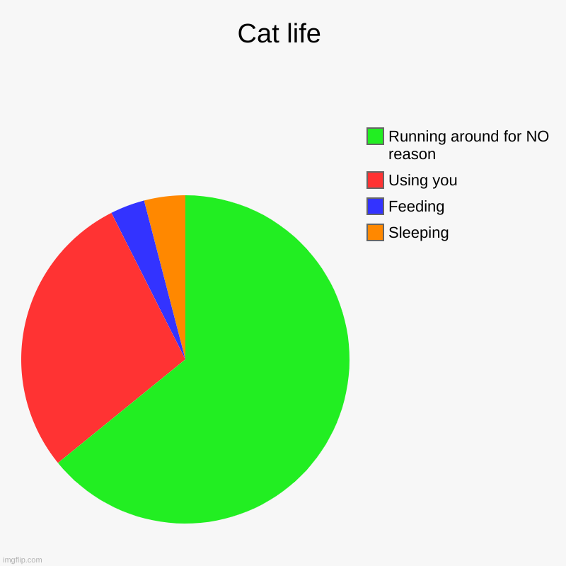 Cat's life | Cat life | Sleeping, Feeding, Using you, Running around for NO reason | image tagged in charts,pie charts | made w/ Imgflip chart maker