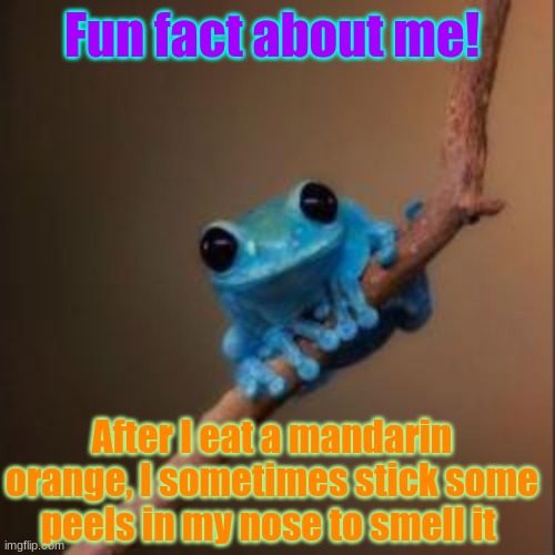 I can't be the only one who does this | Fun fact about me! After I eat a mandarin orange, I sometimes stick some peels in my nose to smell it | image tagged in fun fact frog,oranges,fruit,yum | made w/ Imgflip meme maker