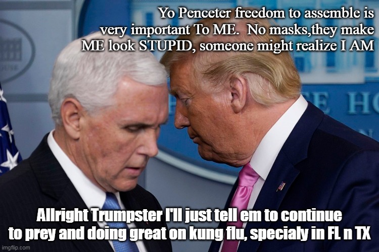 Wholey crap | Yo Penceter freedom to assemble is very important To ME.  No masks,they make ME look STUPID, someone might realize I AM; Allright Trumpster I'll just tell em to continue to prey and doing great on kung flu, specialy in FL n TX | image tagged in donald trump,pence,corona virus,sad,trump | made w/ Imgflip meme maker