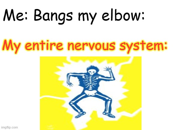 Don't bang your elbow! | image tagged in oops,skeleton | made w/ Imgflip meme maker
