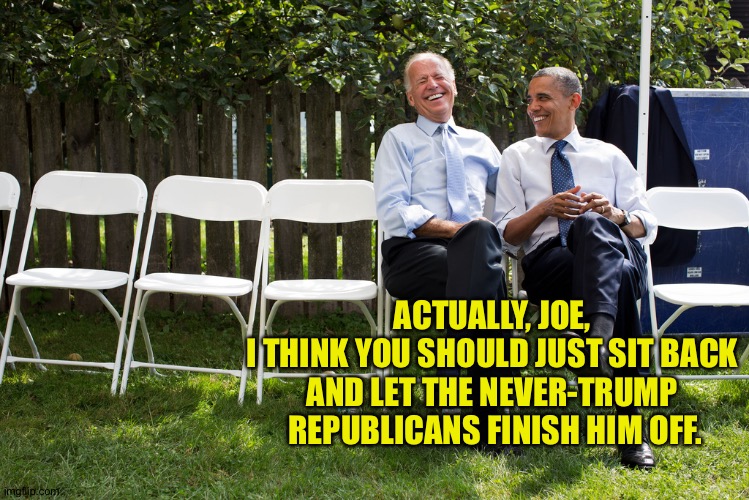 The Never-Trumpers are coming at him harder than anybody | ACTUALLY, JOE, 
I THINK YOU SHOULD JUST SIT BACK 
AND LET THE NEVER-TRUMP 
REPUBLICANS FINISH HIM OFF. | image tagged in biden and obama | made w/ Imgflip meme maker