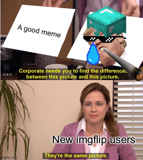 They're The Same Picture Meme | A good meme; New imgflip users | image tagged in memes,they're the same picture | made w/ Imgflip meme maker