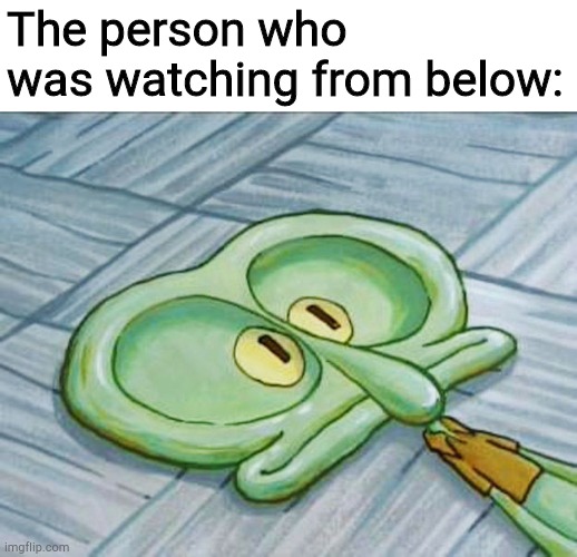 Flat face squidward | The person who was watching from below: | image tagged in flat face squidward | made w/ Imgflip meme maker