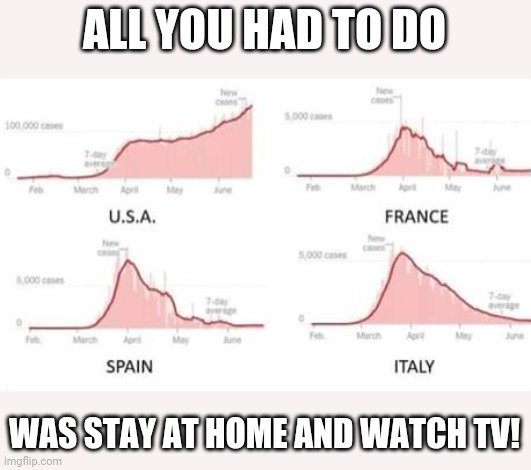 USA is the worst at crisis management | ALL YOU HAD TO DO; WAS STAY AT HOME AND WATCH TV! | image tagged in covid-19 | made w/ Imgflip meme maker