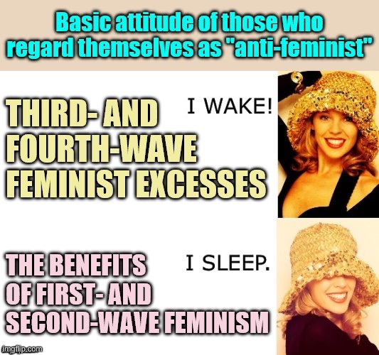 Many consider themselves “anti-feminist.” They probably don’t realize they already are feminist, to some degree. | image tagged in feminist,feminism,politics,feminists,gender equality,womens rights | made w/ Imgflip meme maker