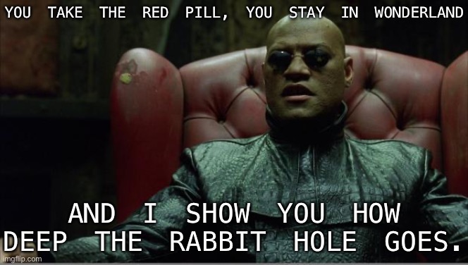 Why haven’t decades of Democratic rule in blue states/big cities solved systemic racism yet? Let me take you on a journey... | YOU TAKE THE RED PILL, YOU STAY IN WONDERLAND; AND I SHOW YOU HOW DEEP THE RABBIT HOLE GOES. | image tagged in morpheus sitting down,racism,racists,slavery,democrats,black people | made w/ Imgflip meme maker