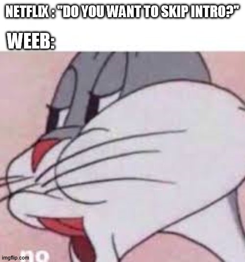 no | NETFLIX : "DO YOU WANT TO SKIP INTRO?"; WEEB: | image tagged in no bugs bunny,anime | made w/ Imgflip meme maker