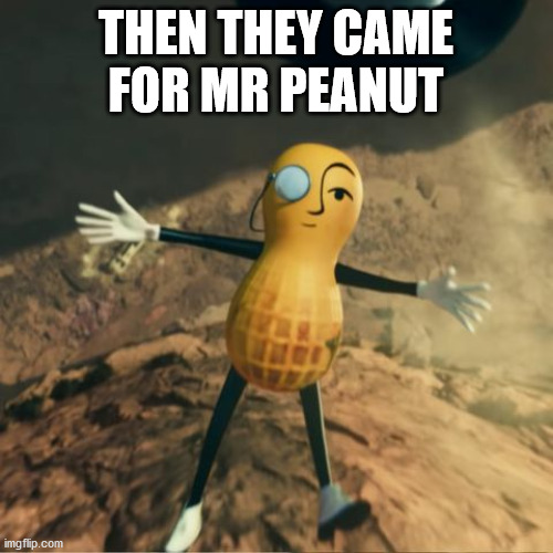 Mr Peanut's death | THEN THEY CAME FOR MR PEANUT | image tagged in mr peanut's death | made w/ Imgflip meme maker