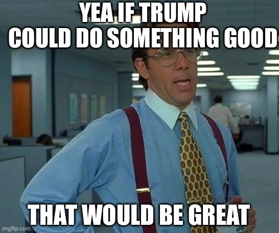 That Would Be Great Meme | YEA IF TRUMP COULD DO SOMETHING GOOD THAT WOULD BE GREAT | image tagged in memes,that would be great | made w/ Imgflip meme maker