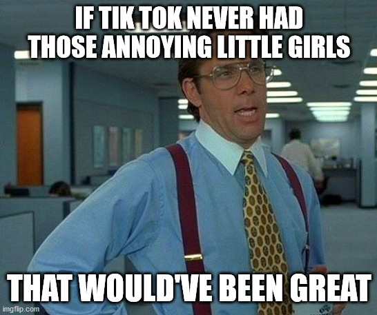 That Would Be Great | IF TIK TOK NEVER HAD THOSE ANNOYING LITTLE GIRLS; THAT WOULD'VE BEEN GREAT | image tagged in memes,that would be great | made w/ Imgflip meme maker