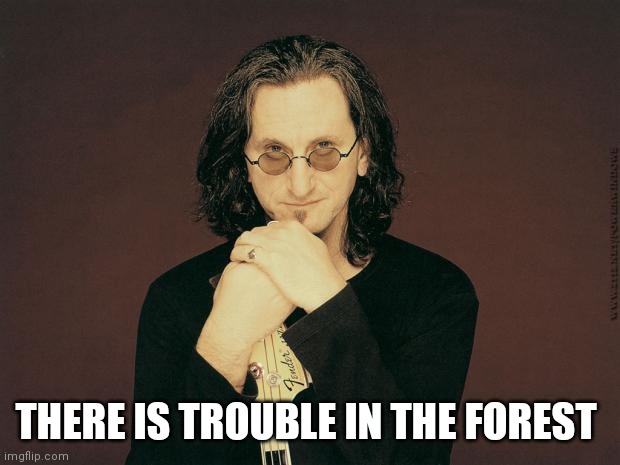 Geddy Lee | THERE IS TROUBLE IN THE FOREST | image tagged in geddy lee | made w/ Imgflip meme maker