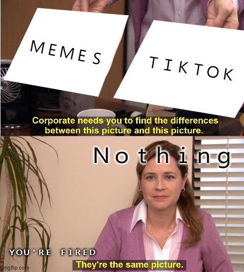 They're The Same Picture | ＭＥＭＥＳ; ＴＩＫＴＯＫ; Ｎｏｔｈｉｎｇ; ＹＯＵ＇ＲＥ　ＦＩＲＥＤ | image tagged in memes,they're the same picture | made w/ Imgflip meme maker
