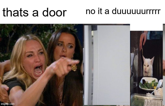 Its a duuuuuuuurrrrr | thats a door; no it a duuuuuurrrrr | image tagged in funny memes,woman yelling at cat | made w/ Imgflip meme maker