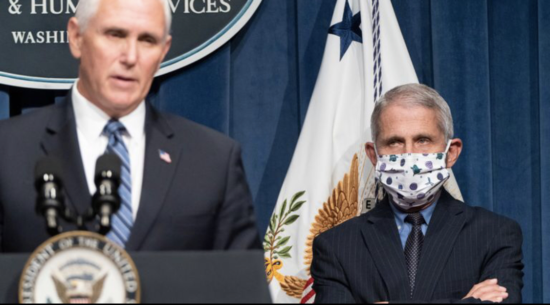 High Quality Fauci glares at Pence Blank Meme Template