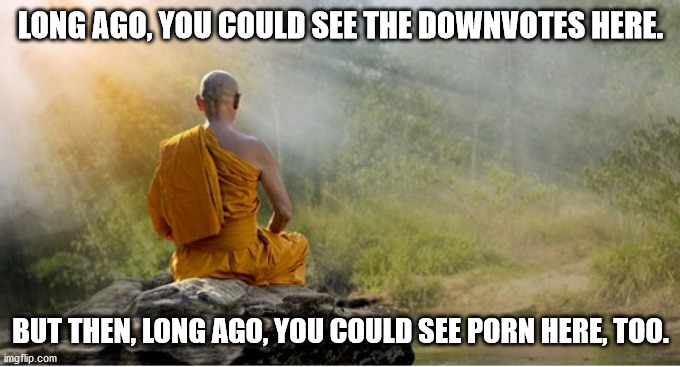 Buddhist medditate | LONG AGO, YOU COULD SEE THE DOWNVOTES HERE. BUT THEN, LONG AGO, YOU COULD SEE PORN HERE, TOO. | image tagged in buddhist medditate | made w/ Imgflip meme maker