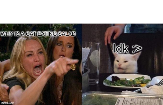 Uhh whats happening? | WHY IS A CAT EATING SALAD; Idk :> | image tagged in memes,woman yelling at cat,what happened,cat,woman | made w/ Imgflip meme maker
