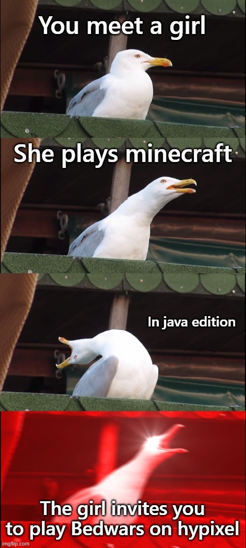 Inhaling Seagull | You meet a girl; She plays minecraft; In java edition; The girl invites you to play Bedwars on hypixel | image tagged in memes,inhaling seagull | made w/ Imgflip meme maker