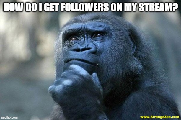 How do I get followers on my stream? | HOW DO I GET FOLLOWERS ON MY STREAM? | image tagged in deep thoughts,memes,question | made w/ Imgflip meme maker