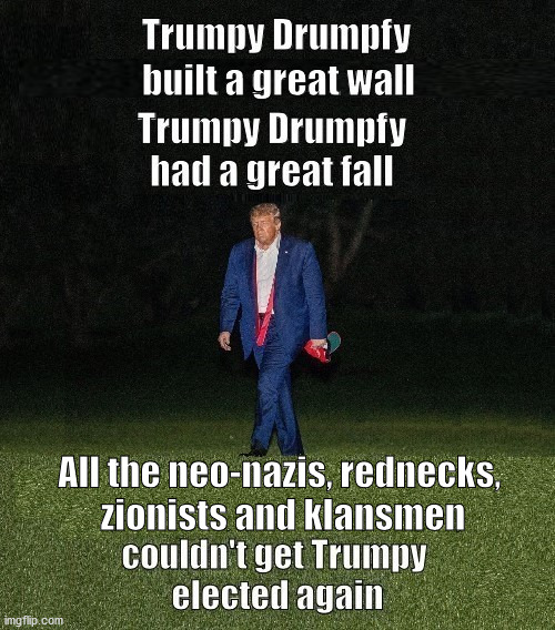 Trumpy Drumpfy | All the neo-nazis, rednecks, 
zionists and klansmen | image tagged in trump,walk of shame | made w/ Imgflip meme maker