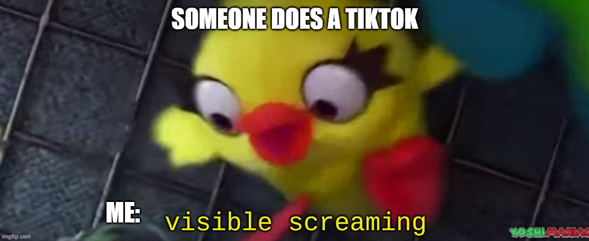 Visible Screaming | SOMEONE DOES A TIKTOK; ME: | image tagged in visible screaming | made w/ Imgflip meme maker