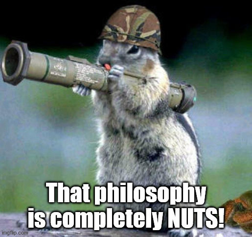 Bazooka Squirrel Meme | That philosophy is completely NUTS! | image tagged in memes,bazooka squirrel | made w/ Imgflip meme maker