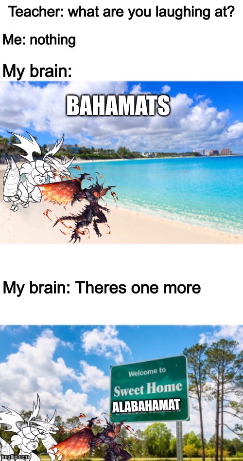 Ah yes... Bahamuts | image tagged in memes,funny,dragon,alabama,beach,teacher what are you laughing at | made w/ Imgflip meme maker