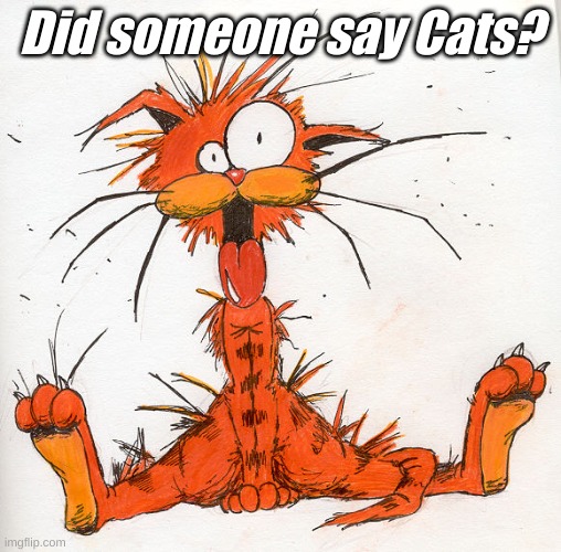 Bill the Cat | Did someone say Cats? | image tagged in bill the cat | made w/ Imgflip meme maker