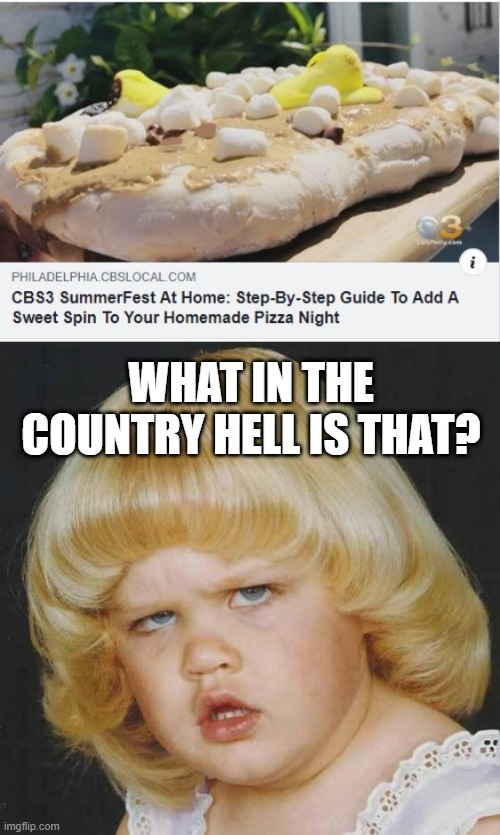 No Thank You | WHAT IN THE COUNTRY HELL IS THAT? | image tagged in huh | made w/ Imgflip meme maker