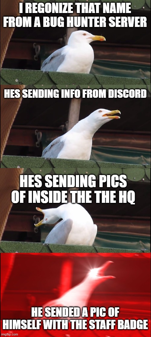 Meeting discord admins | I REGONIZE THAT NAME FROM A BUG HUNTER SERVER; HES SENDING INFO FROM DISCORD; HES SENDING PICS OF INSIDE THE THE HQ; HE SENDED A PIC OF HIMSELF WITH THE STAFF BADGE | image tagged in memes,inhaling seagull | made w/ Imgflip meme maker