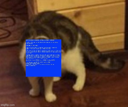 Error cat | image tagged in loading cat | made w/ Imgflip meme maker