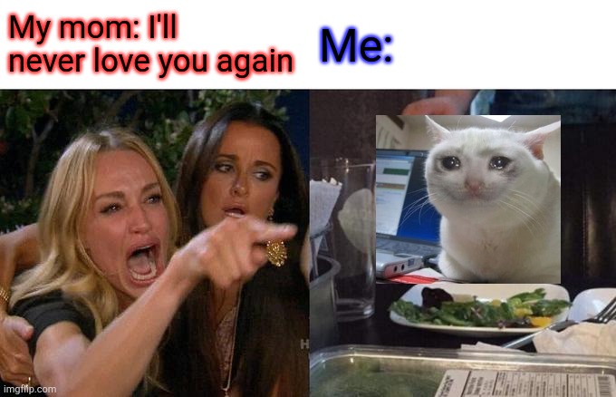 ;-; | My mom: I'll never love you again; Me: | image tagged in memes,woman yelling at cat | made w/ Imgflip meme maker