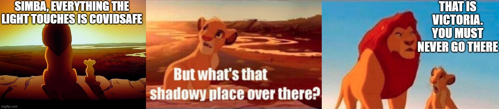 SIMBA, EVERYTHING THE LIGHT TOUCHES IS COVIDSAFE; THAT IS VICTORIA. YOU MUST NEVER GO THERE | image tagged in memes,lion king,simba shadowy place | made w/ Imgflip meme maker