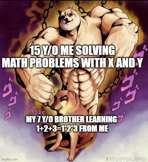 Weak dog and strong dog | 15 Y/O ME SOLVING MATH PROBLEMS WITH X AND Y; MY 7 Y/O BROTHER LEARNING 
1+2+3=1*2*3 FROM ME | image tagged in strong doge weak doge | made w/ Imgflip meme maker